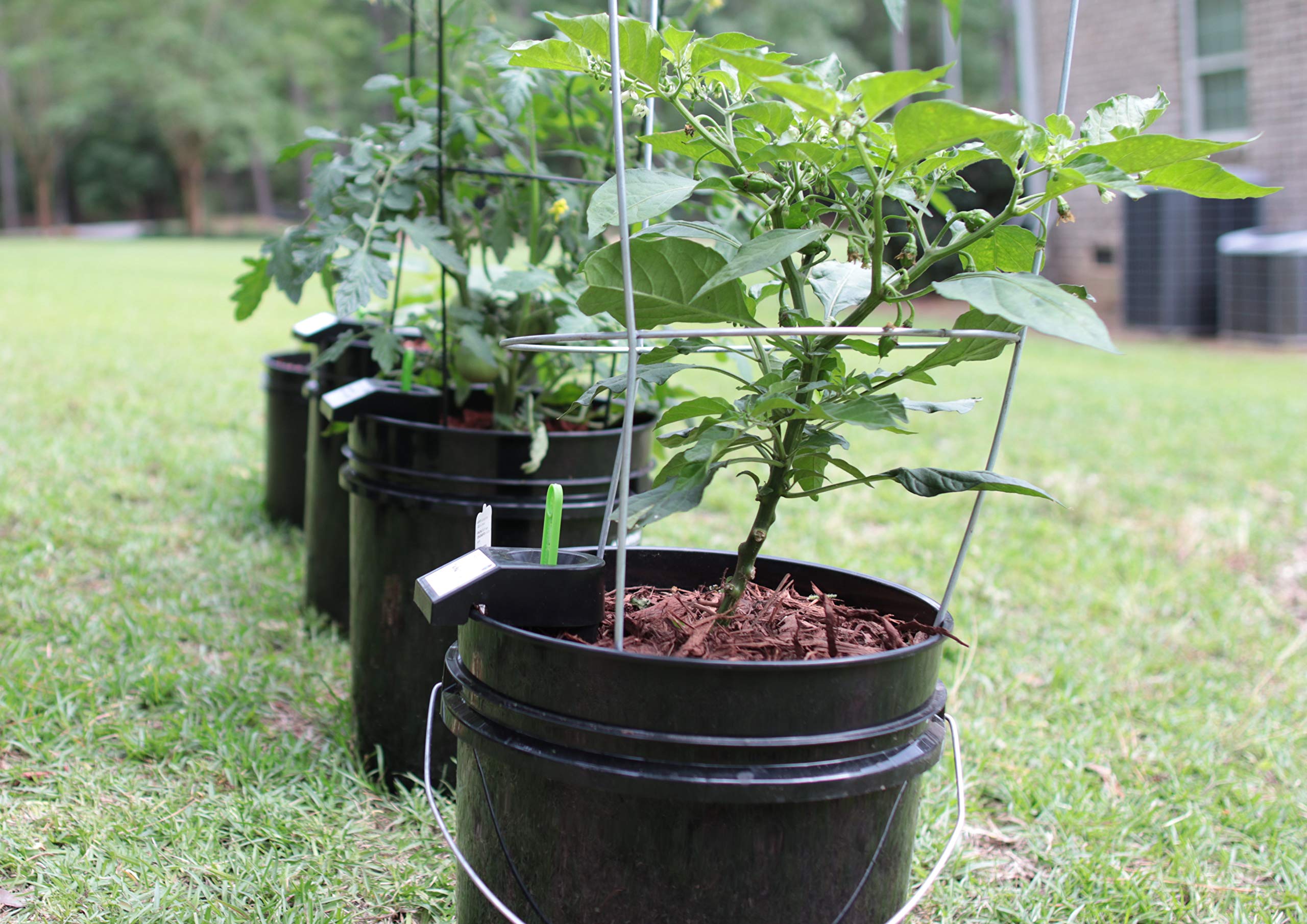 10PK Self-Watering Sub-Irrigated Planter Insert - Convert Any Bucket into Container Garden | Indoor/Outdoor Space-Saving Portable Gardening Solution for Urban Homes, Balconies & Small Spaces