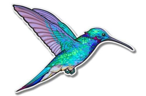 Vibrant Hummingbird Vinyl Decal Sticker - Waterproof Car, Truck, Laptop & Motorcycle Helmet Decoration (3 Inch) - Perfect for Personalizing Vehicles, Electronics & Outdoor Gear