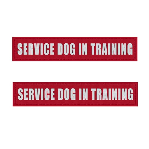 Service Dog In Training (2 Pack Red)