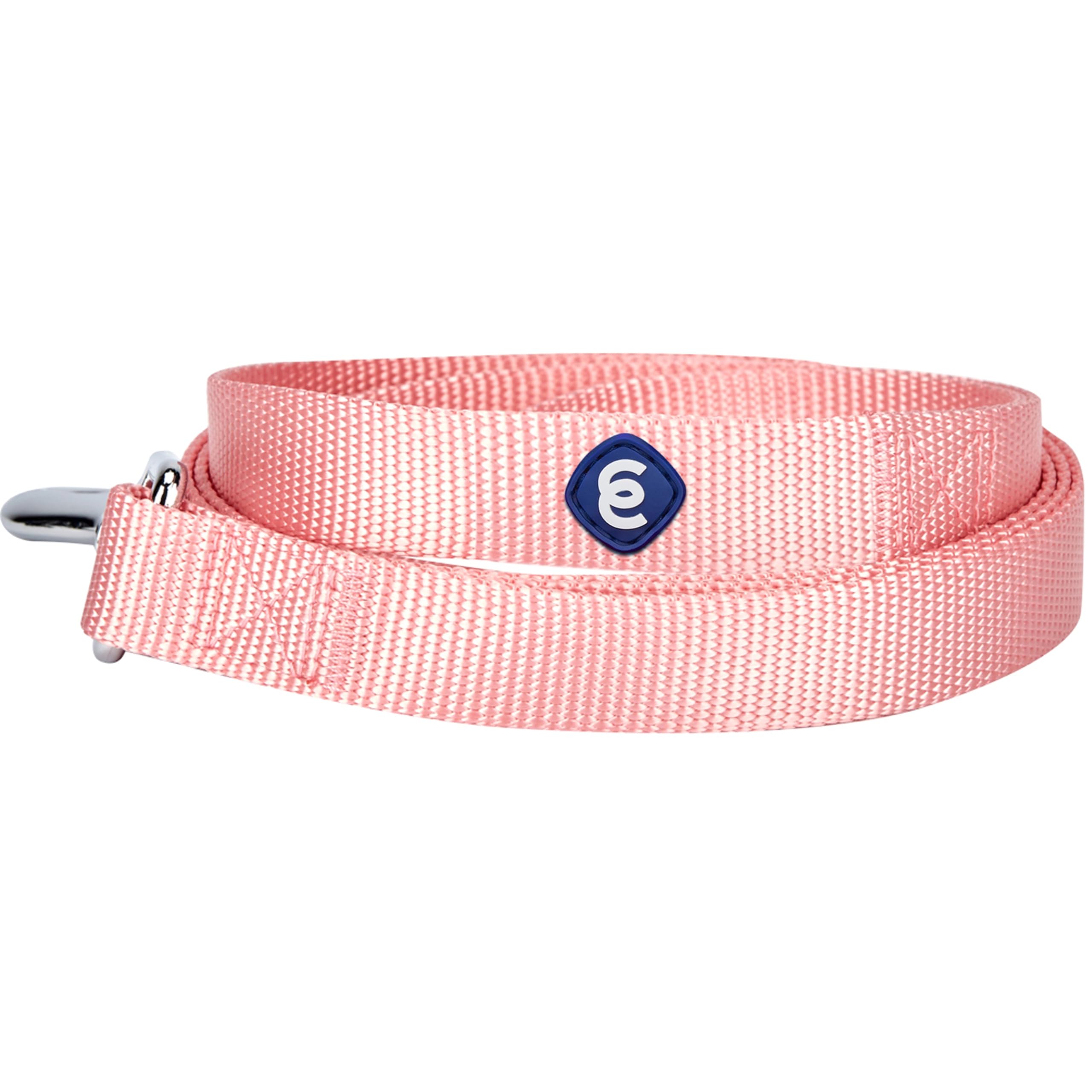 Premium Blueberry Pet Essentials Classic Nylon Dog Leash - 5ft x 3/8