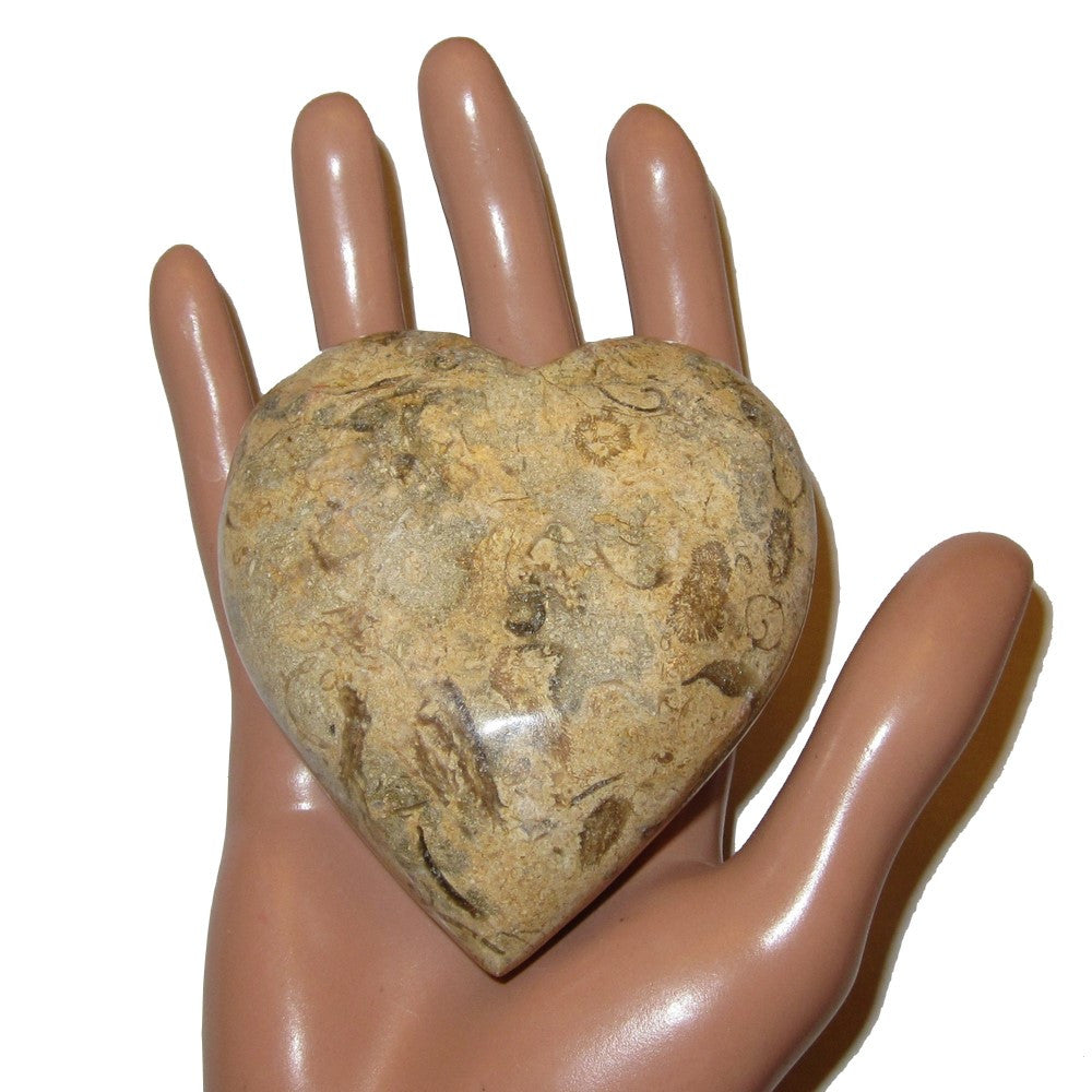 Fossil Heart Eternal Soulmate Love Crystal Healing Stone - Brown Gemstone for Chakra Balancing, Meditation & Spiritual Healing - Perfect for Gifts, Home Decor & Energy Work