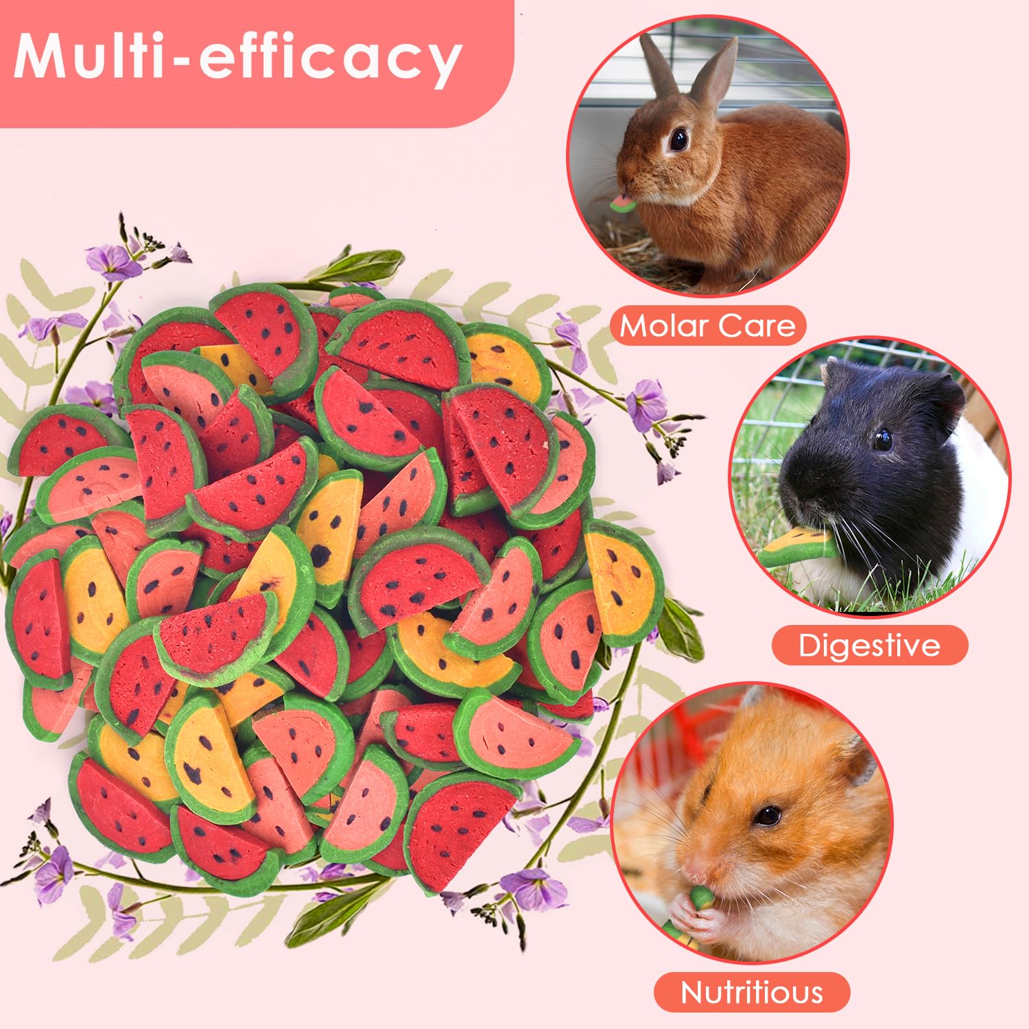 KATUMO 65PCS Natural Rabbit Chew Toys - Timothy Hay Sticks for Bunnies, Small Animal Dental Treats & Molar Toys | Perfect for Cage Enrichment, Teething Relief & Bonding Time with Your Pet Rabbit