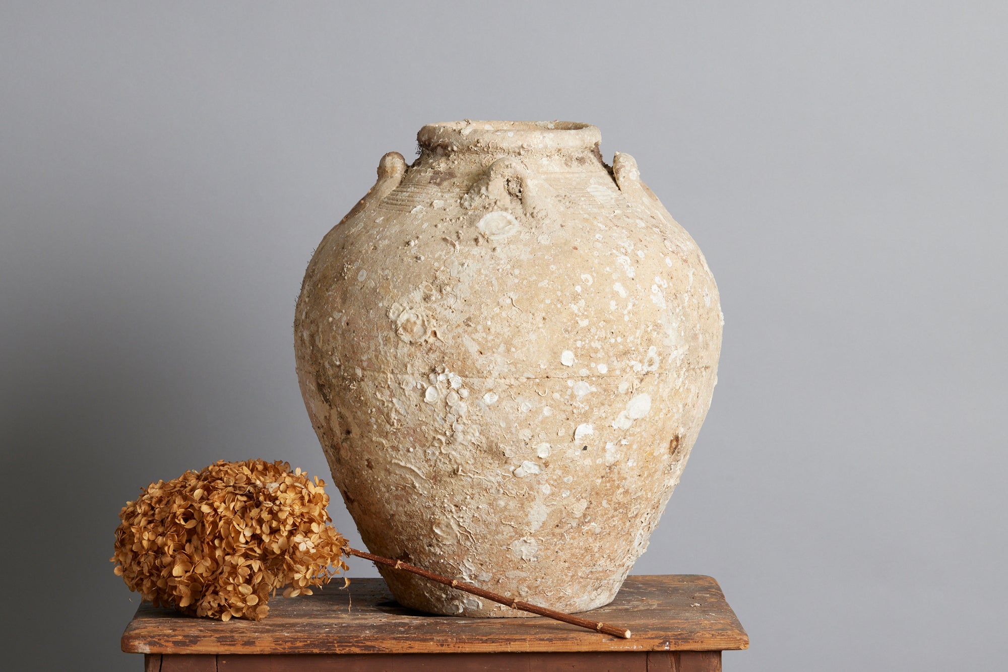 Extra Large Tsung Shipwreck Storage Jar - Authentic Spice Trade Relic - Perfect for Home Decor, Kitchen Storage & Vintage Collectibles
