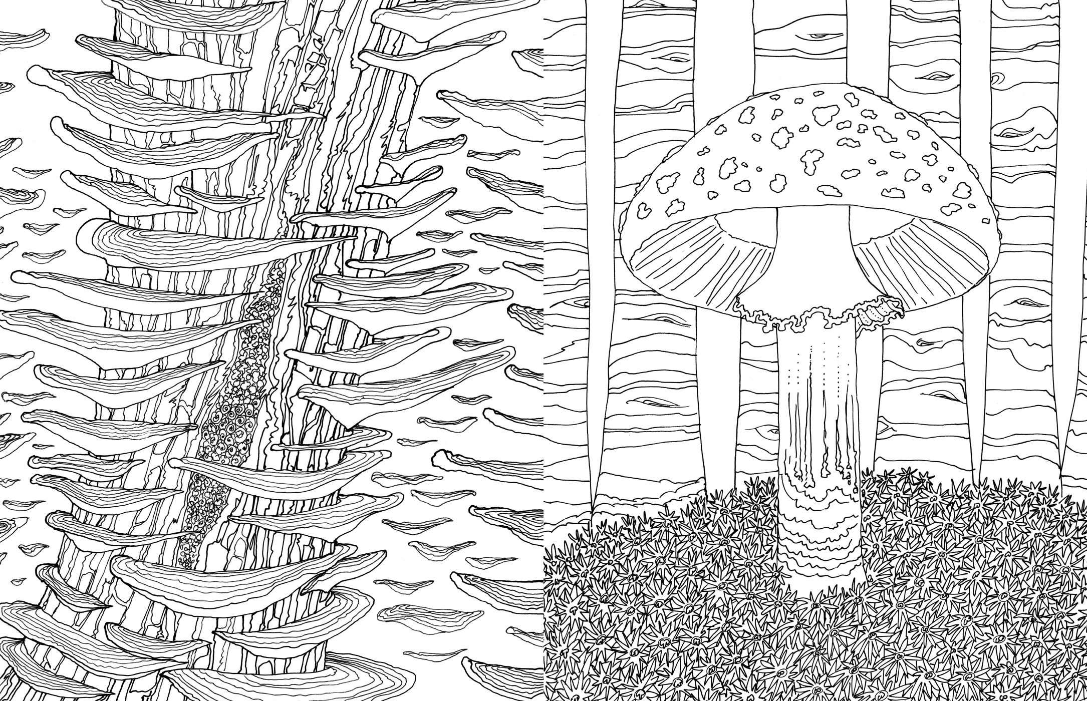 Fantastic Fungi Coloring Book for Adults - Relaxing & Stress Relief Mushroom Designs - Perfect for Meditation, Art Therapy & Nature Lovers
