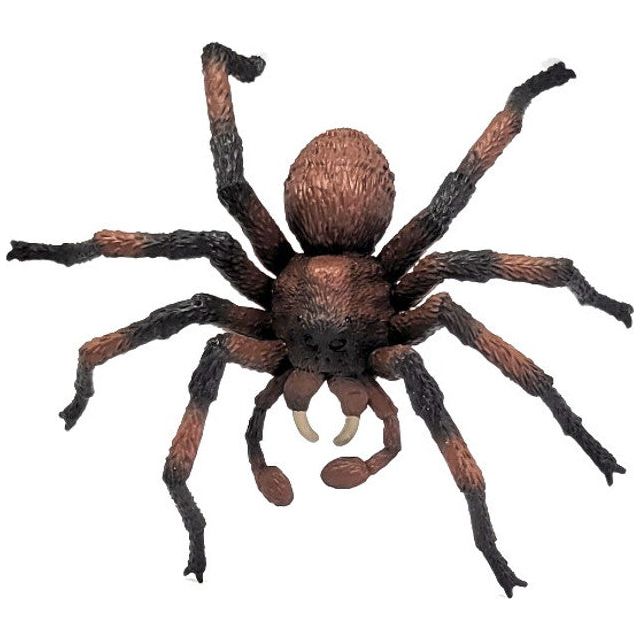 Harry Potter Aragog Spider Plush Toy - Official Collectible for Fans, Kids & Decor - Perfect for Halloween, Cosplay & Gifts