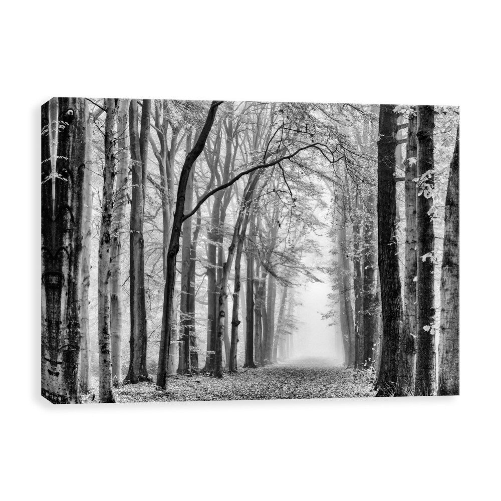 Black and White Forest Silver Metallic Canvas Wall Art - 36x24 Inches Modern Abstract Painting for Living Room, Bedroom & Office Decor