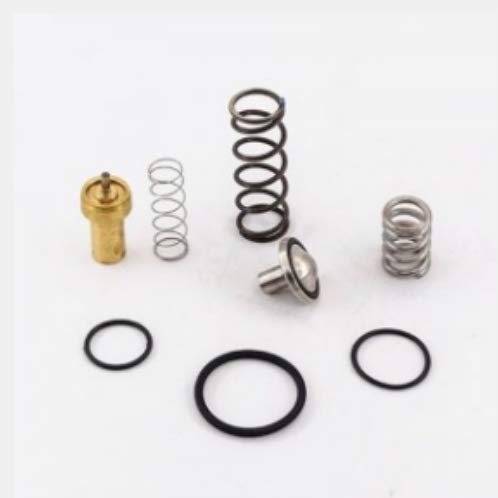 Atlas Copco 2901109500 Air Compressor Thermostatic Minimum Pressure Valve Repair Kit - Replacement Part for Industrial & Automotive Use