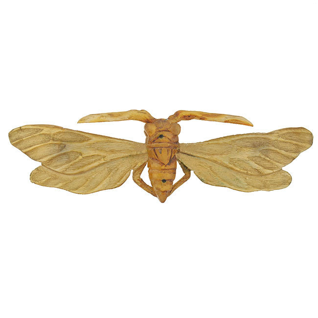 Vintage Art Nouveau French Carved Horn Winged Insect Brooch Pin - Antique Jewelry for Women, Collectors & Fashion Enthusiasts | Perfect for Vintage Outfits, Special Occasions & Gift Giving