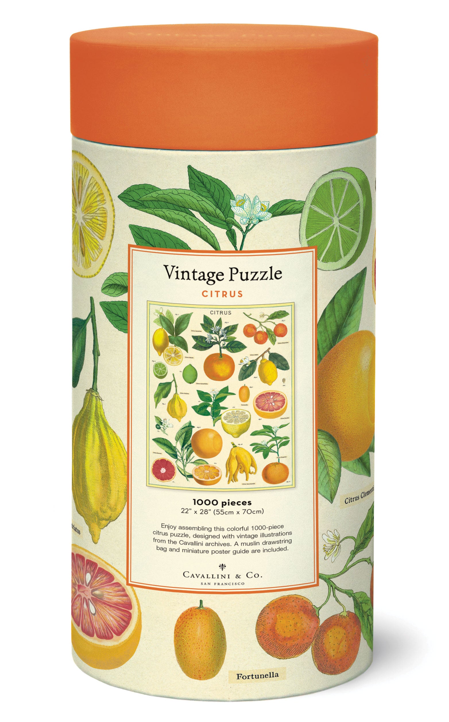 Fun and Challenging Citrus Puzzle - Brain Teaser Game for Kids & Adults | Perfect for Family Game Night, Party Favors, and Stress Relief
