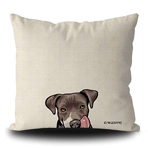 Pit Bull-4