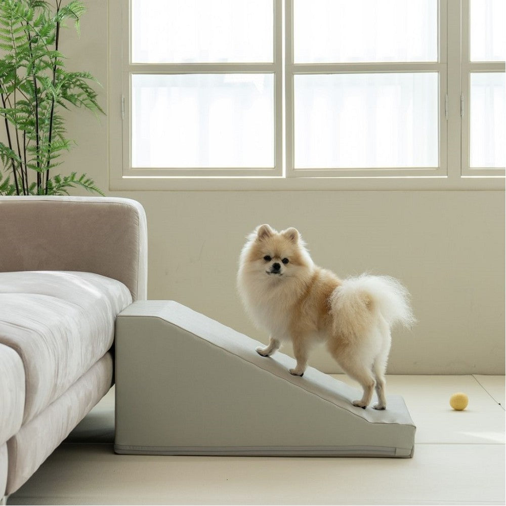Non-Slip Pet Ramp for Dogs & Cats - Lightweight Foldable Dog Ramp for SUV, Car, Bed, Couch - Portable Pet Stairs with Traction Surface for Senior Pets & Small Animals (Home & Travel Use)