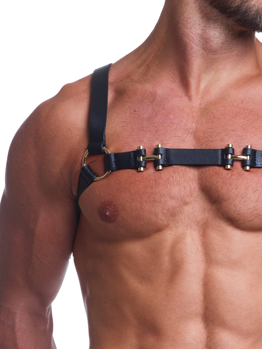 Premium Heritage Leather Harness for Dogs - Durable Black Leather Dog Collar with Metal Hardware - Perfect for Training, Walking & Outdoor Adventures