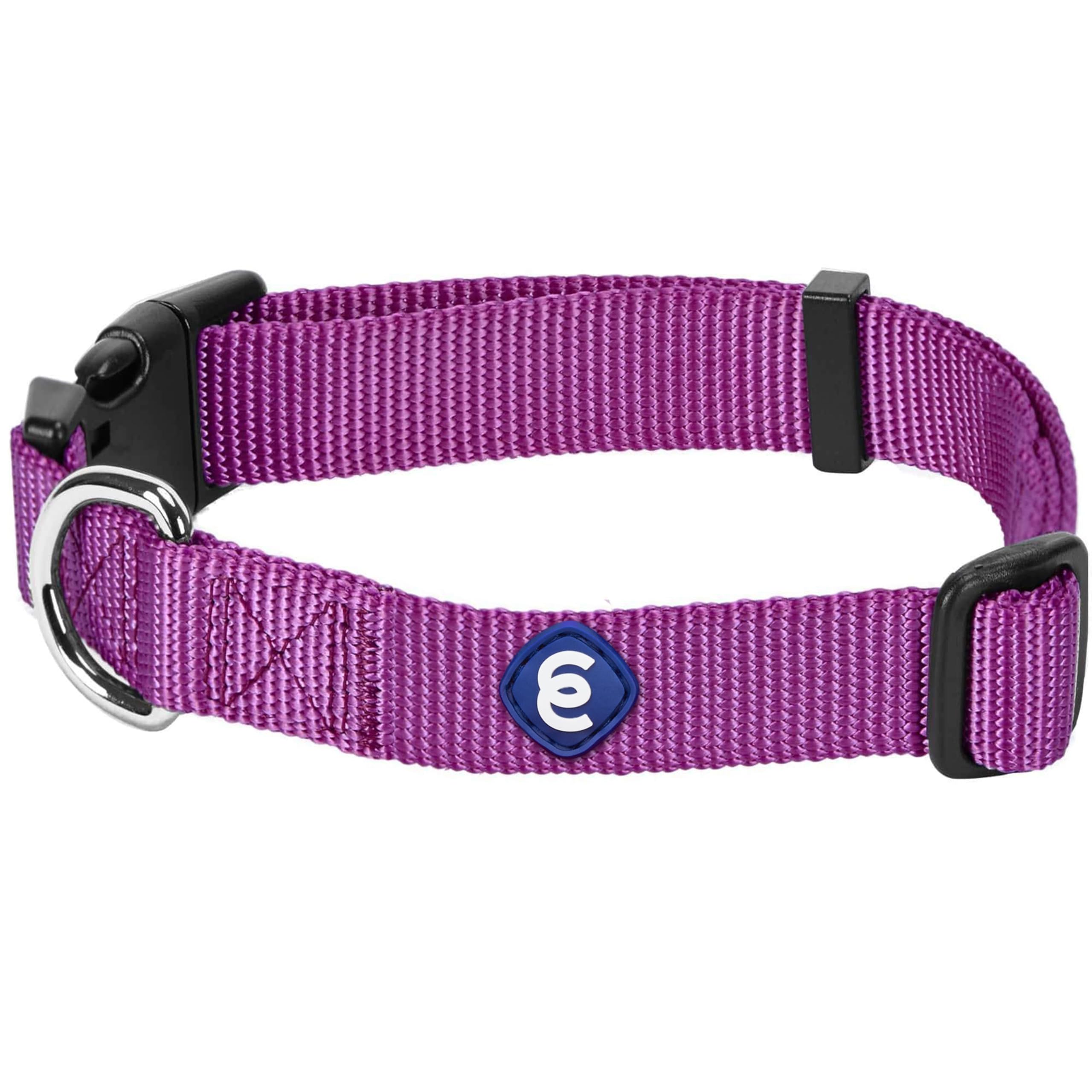 Blueberry Pet Essentials Adjustable Nylon Dog Collar for Medium Dogs - Classic Solid Violet Color | Durable & Comfortable Collar for Daily Walks, Training & Outdoor Adventures