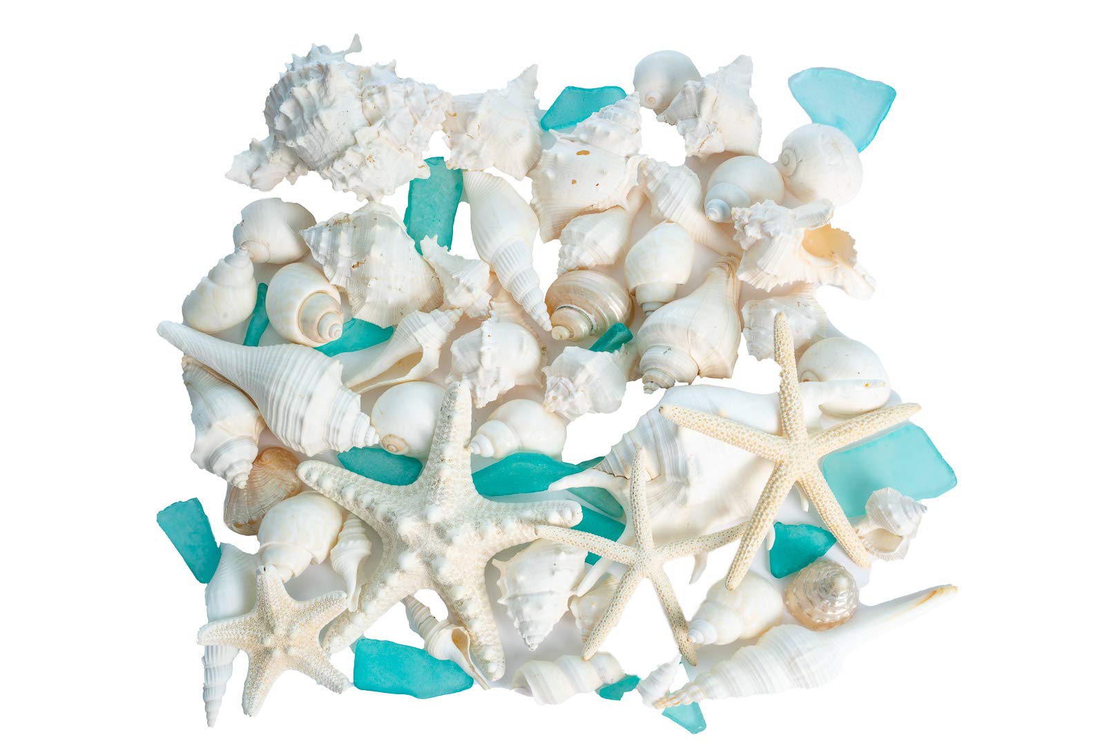 5lb Mixed White Real Beach Seashells with Starfish & Sea Glass - Natural Shells for DIY Crafts, Ocean Themed Decor, Beach Party Decorations - Perfect for Home Decor, Wedding Centerpieces, and Kids' Art Projects