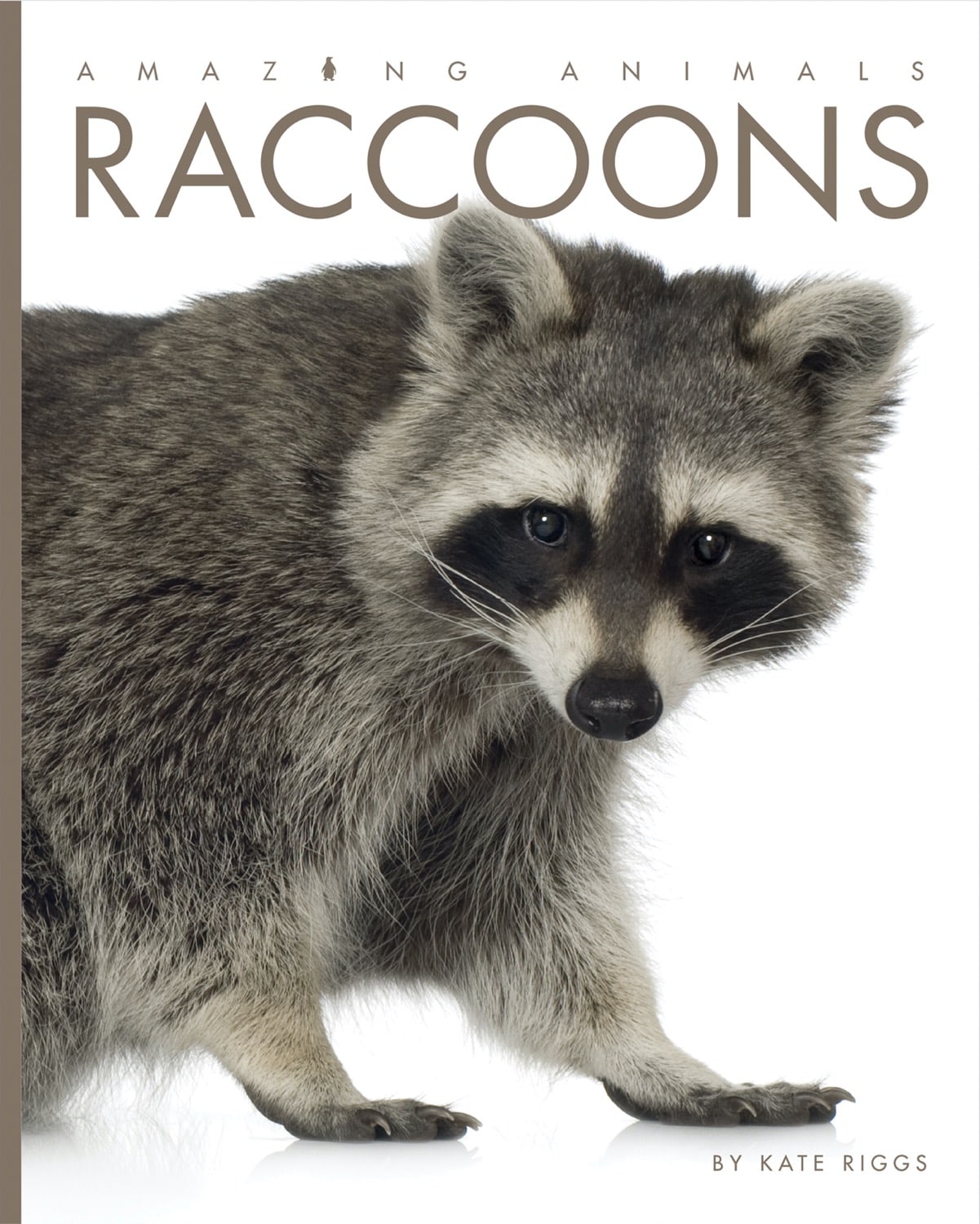 Amazing Animals (2014): Raccoons - Wildlife Documentary DVD | Educational Nature Film for Kids & Adults | Perfect for Classroom Learning & Family Movie Nights