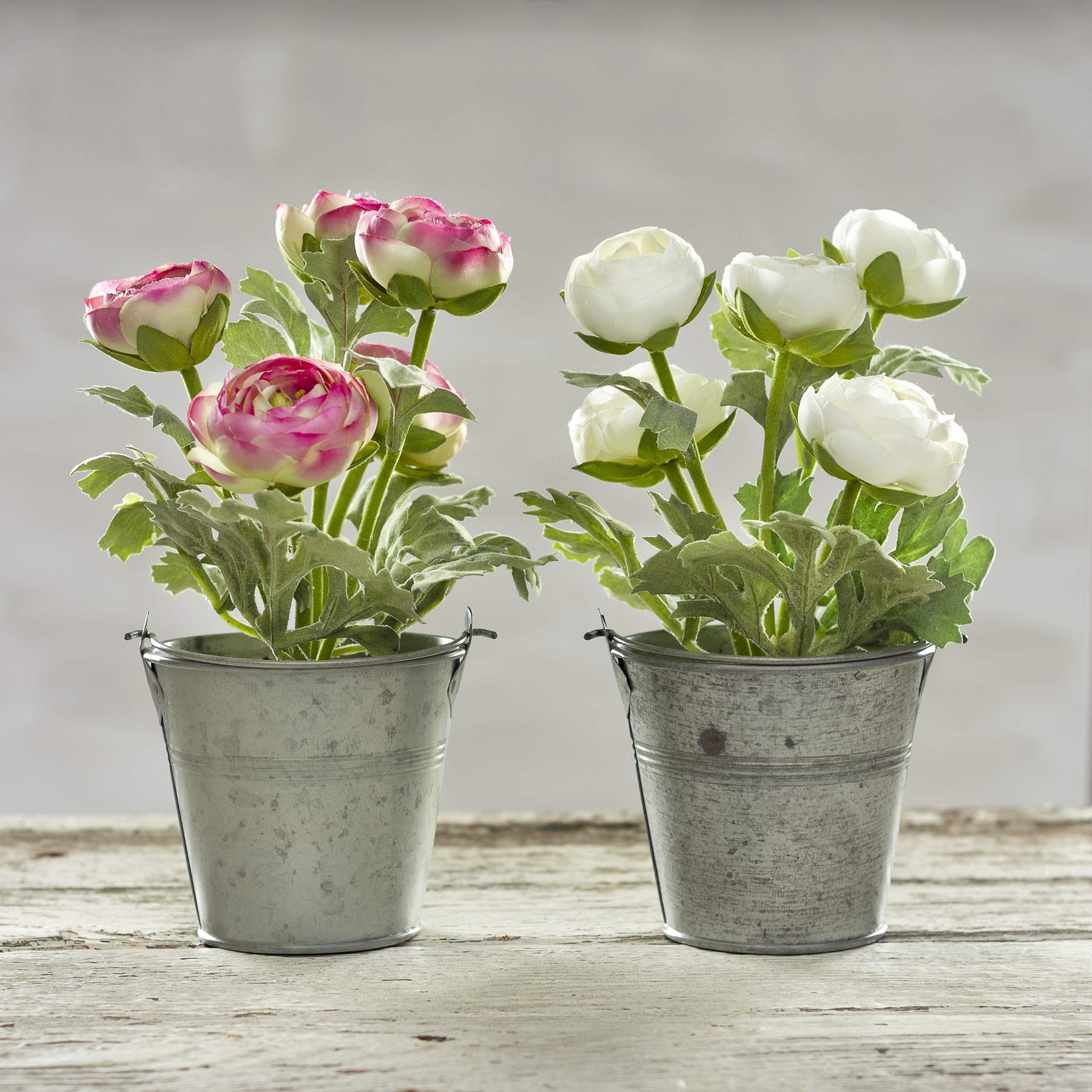 Primitives by Kathy Artificial Flowers in Planter - White, Green Grey - 4