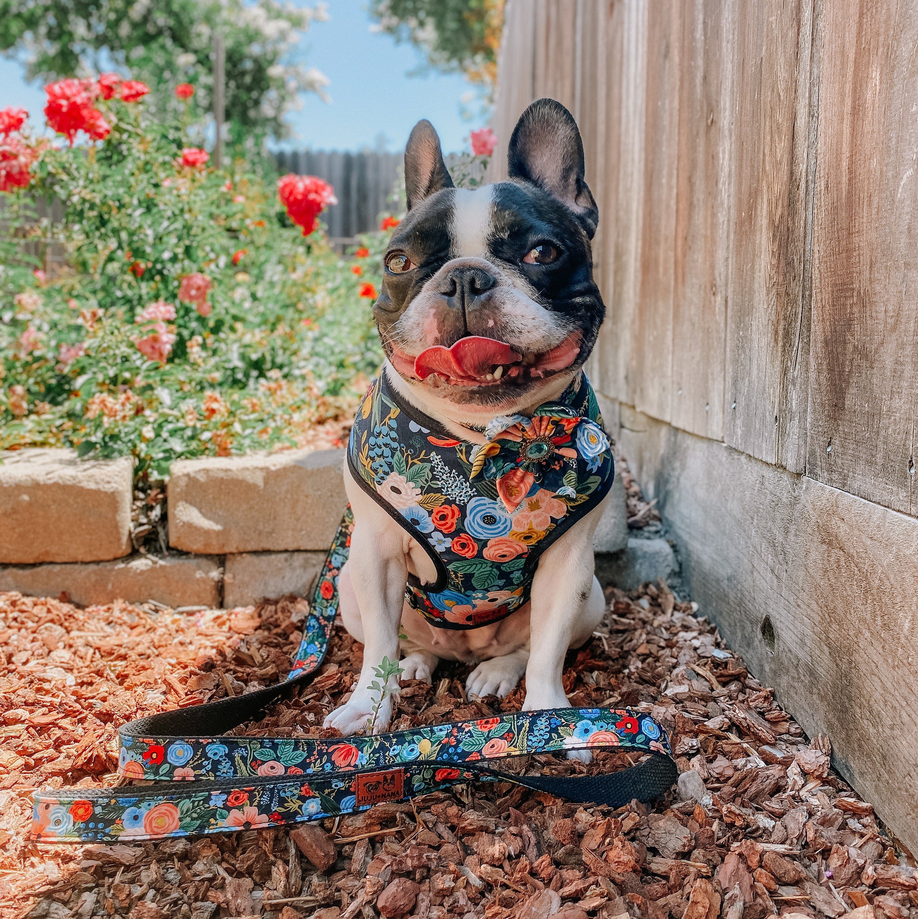 Rifle Paper Co Dog Harness Set - Garden Party Navy Design, Adjustable Pet Harness for Small & Medium Dogs | Perfect for Walks, Outdoor Adventures & Stylish Pet Fashion