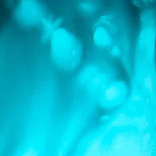 Aqua/Teal