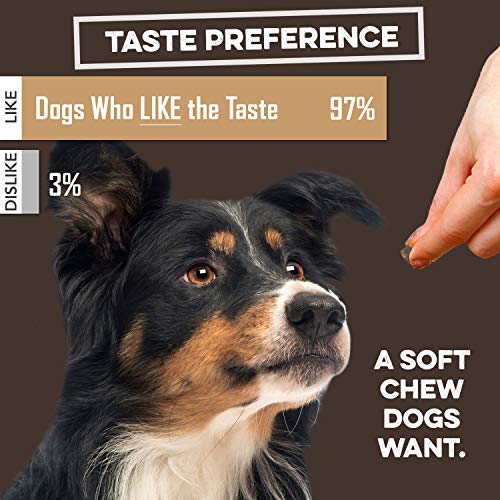 BRUTUS & BARNABY Organic Turmeric Soft Chews for Dogs with Curcumin, Collagen & Bioprene - Hip & Joint Support, Reduces Arthritis Inflammation & Pain Relief - Perfect for Senior Dogs & Active Pets
