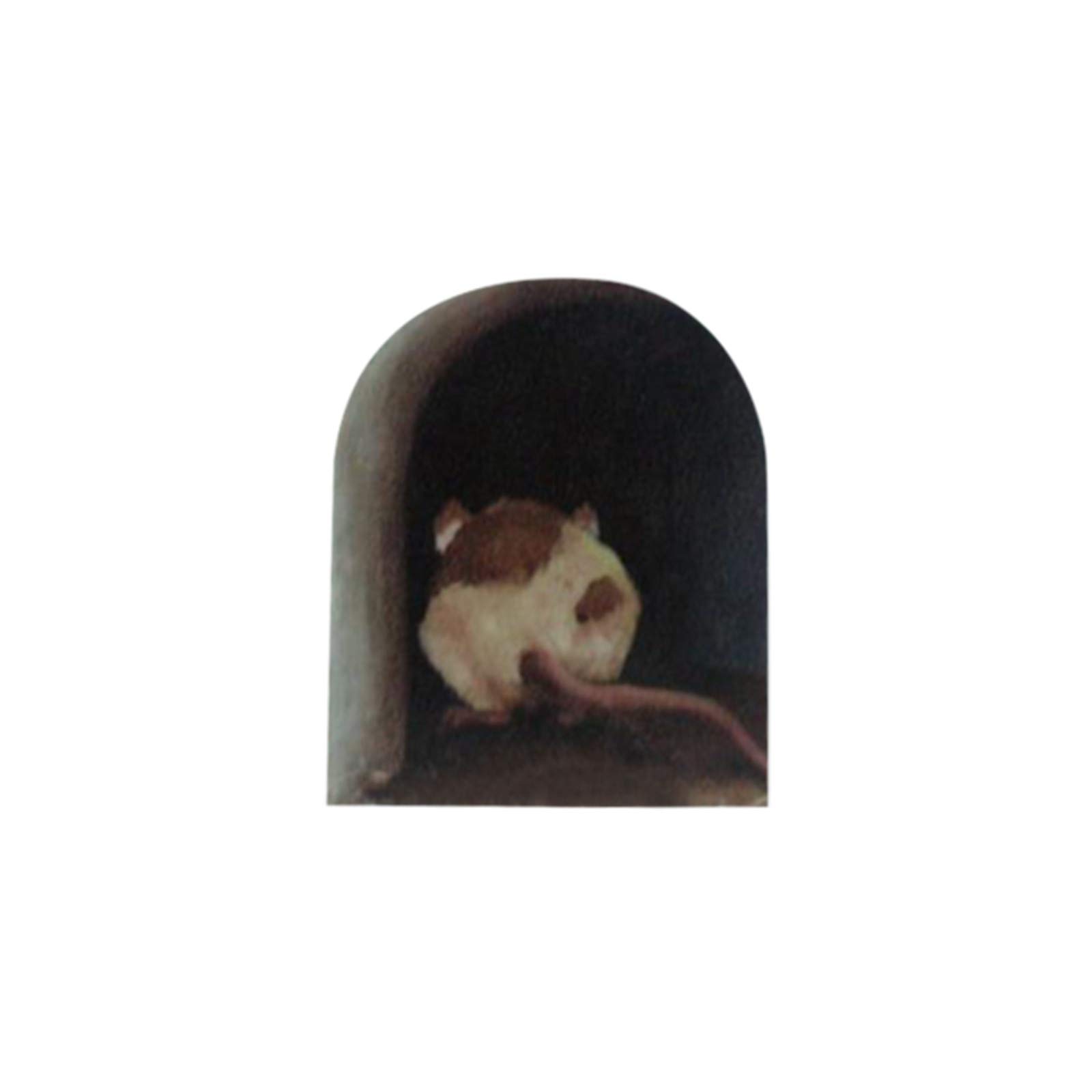 Realistic 3D Mouse Wall Sticker - Cute Mouse in Hole Wall Decal for Home Decor, Living Room, Nursery & Kids Room - Fun Animal Art Stickers for Wall Decoration - Perfect for Playrooms, Classrooms & Themed Parties
