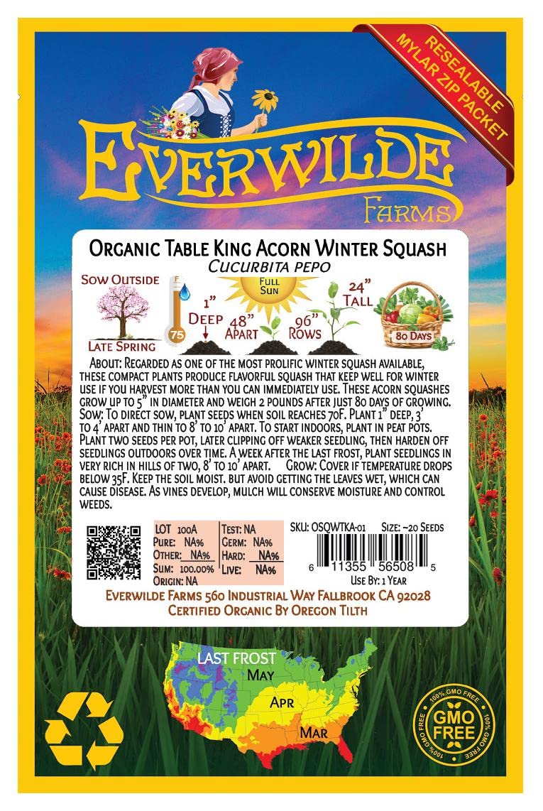 Organic Table King Acorn Winter Squash Seeds - 20 Count Gold Vault Packet by Everwilde Farms - Perfect for Fall Gardens, Thanksgiving Decor & Healthy Home Cooking