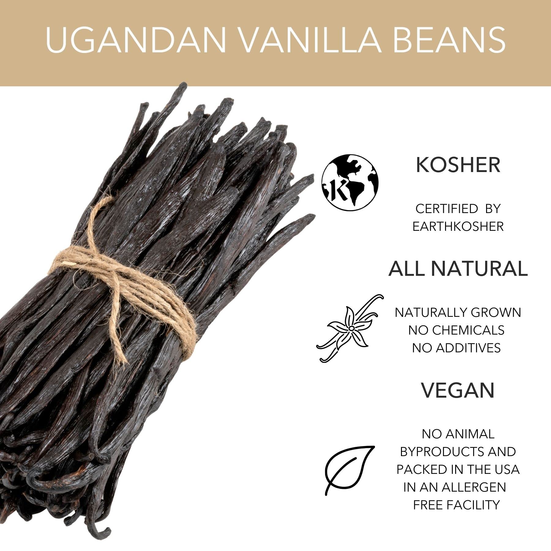 Premium Grade A Bourbon Vanilla Beans 1 Pound - Uganda Sourced Gourmet Vanilla Pods for Cooking, Baking, Ice Cream & DIY Extracts - Perfect for Chefs, Bakers & Home Cooks