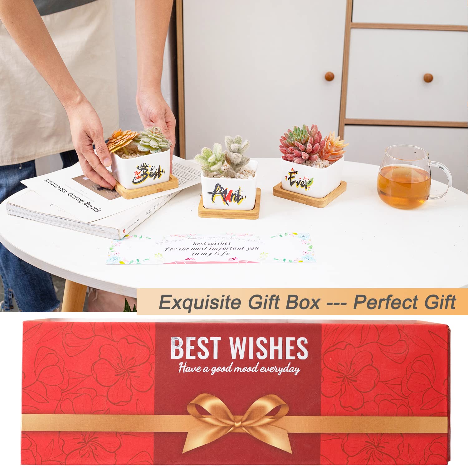Best Aunt Ever Gifts for Women - Unique Succulent Plant Pots, Perfect Birthday or Christmas Present from Niece/Nephew | Ideal for Home Decor, Office Desk & Special Occasions
