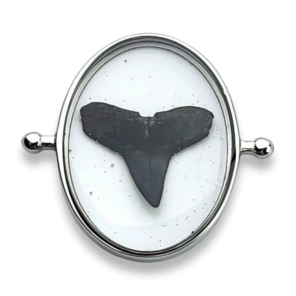 Jaws of the Deep Oval Vessel Element - Sandy Beaches Shop Collaboration | Unique Home Decor for Coastal & Beach House Style