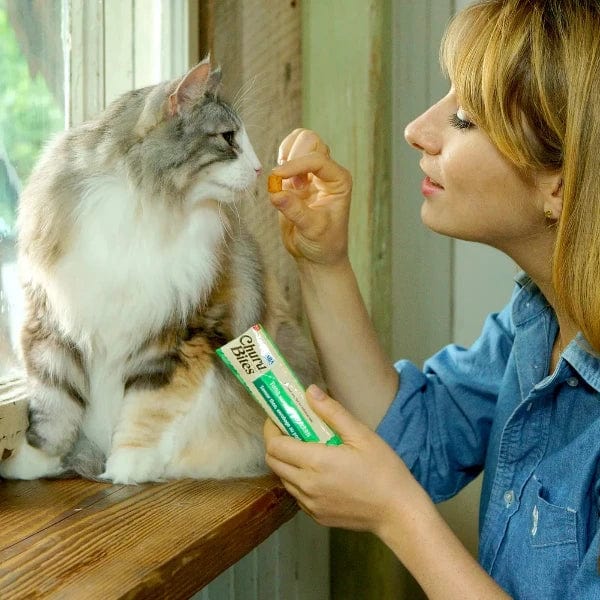 Inaba Churu Bites Tuna with Salmon Recipe Creamy Puree Cat Treats - Grain-Free Soft Cat Snacks for Kittens & Adult Cats - Perfect for Training, Bonding & Hydration