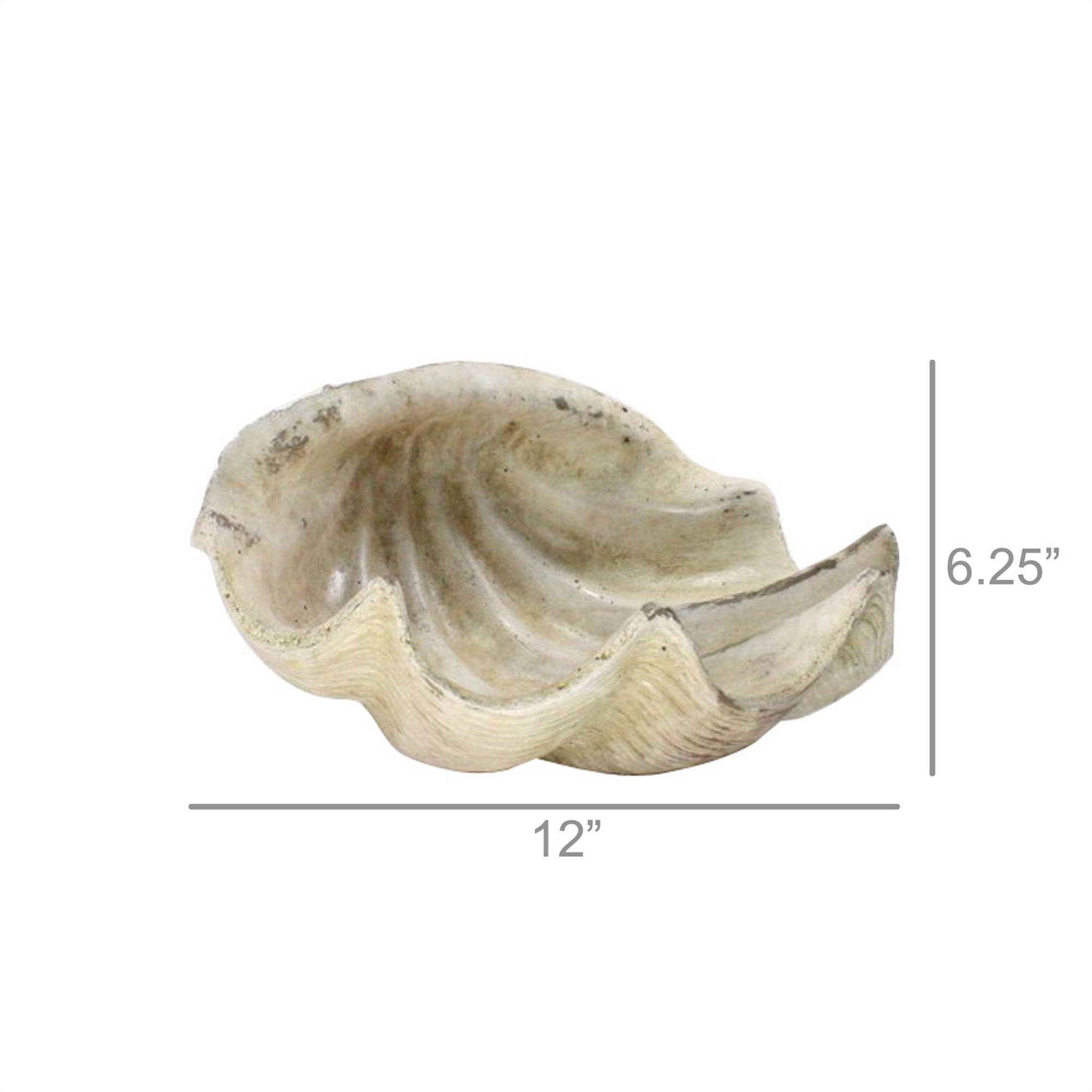 Premium Cement Cast Clam Shell Decor - Handcrafted Coastal Home Decor for Beach House, Garden, or Patio | Durable Outdoor & Indoor Decorative Accent