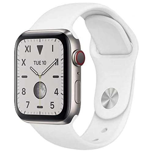 Titanium w White Sport Band