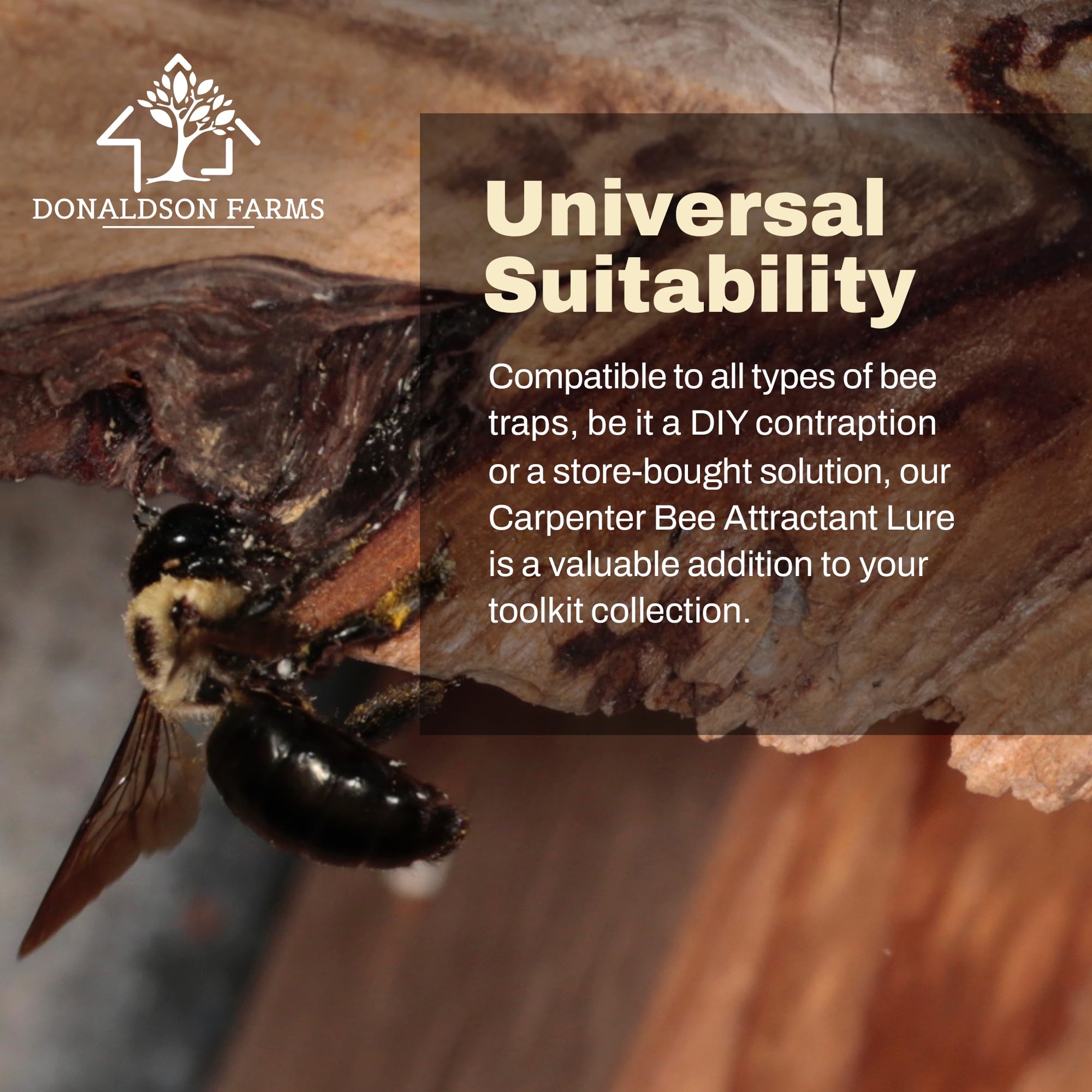 Donaldson Farms Carpenter Bee Natural Attractant Lure - Safe for Honey Bees, 2oz Bee Trap Bait - Ideal for Garden, Patio & Wooden Structure Protection