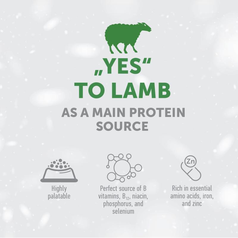 Premium Lamb Flavored Adult Dog Treats for Energy & Endurance - High Protein Training Snacks for Active Dogs | Perfect for Hiking, Running & Outdoor Adventures