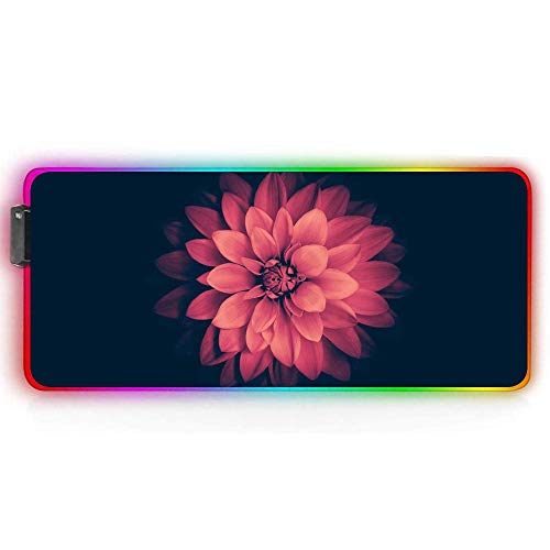 Colorful Mandala