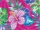 Neon Hibiscus