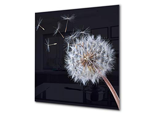 Black Dandelion