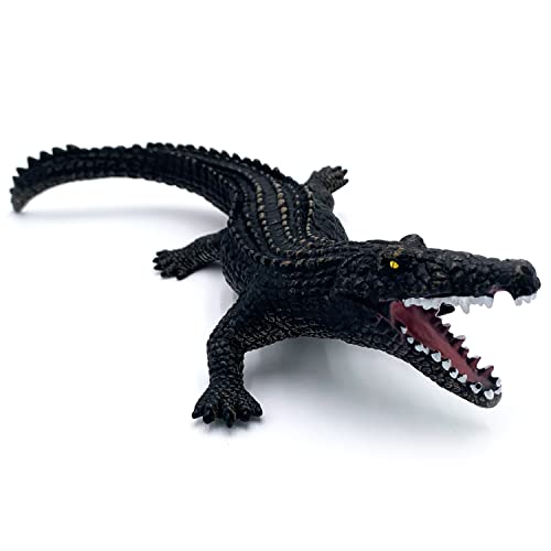 Alligator
