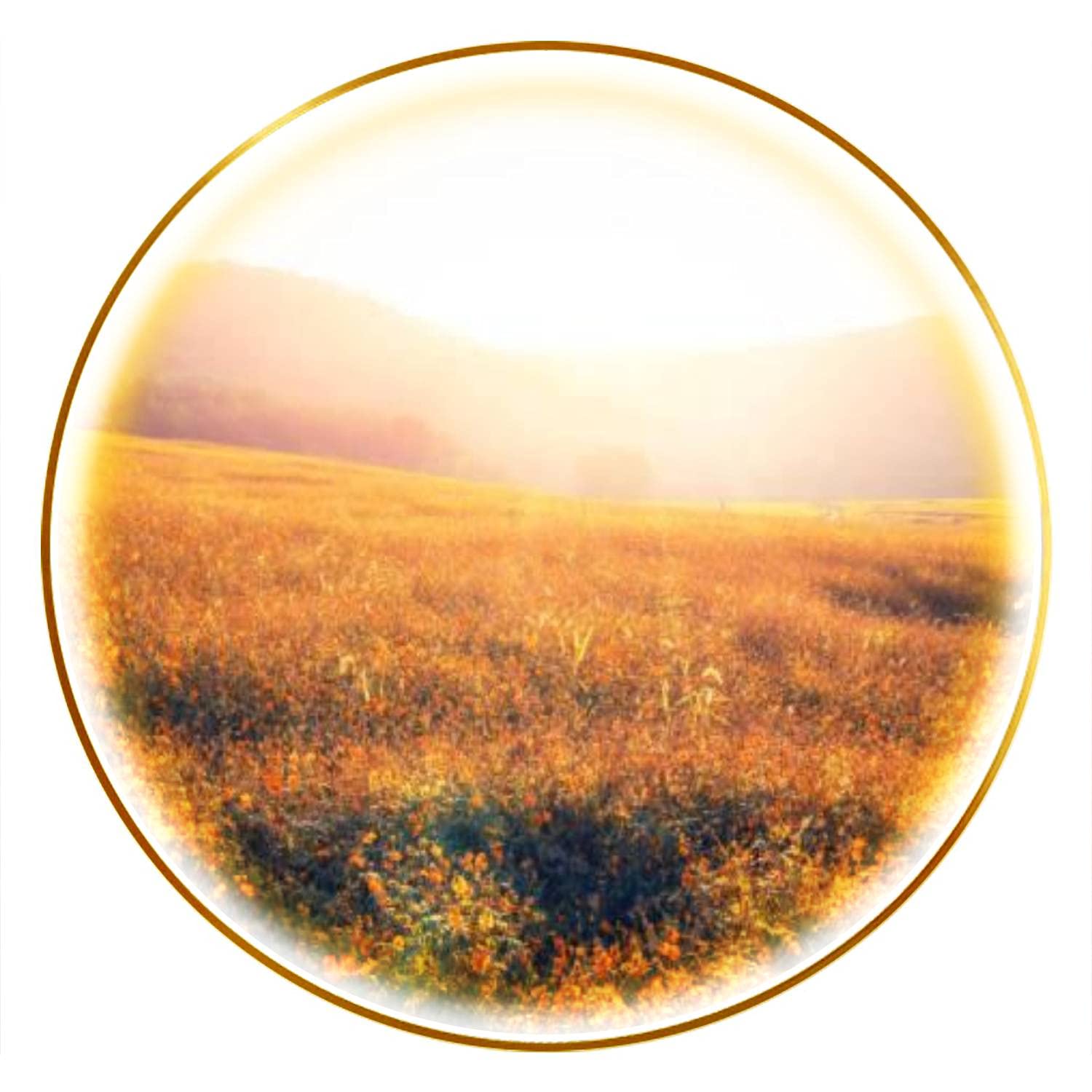 Modern LED Wall Sconce - Golden Flowers on a Field Next to Hills Canvas Print Wall Lamp - Energy Efficient Bedroom & Living Room Lighting - Perfect for Staircase, Aisle, Hotel Decor & Background Wall Art