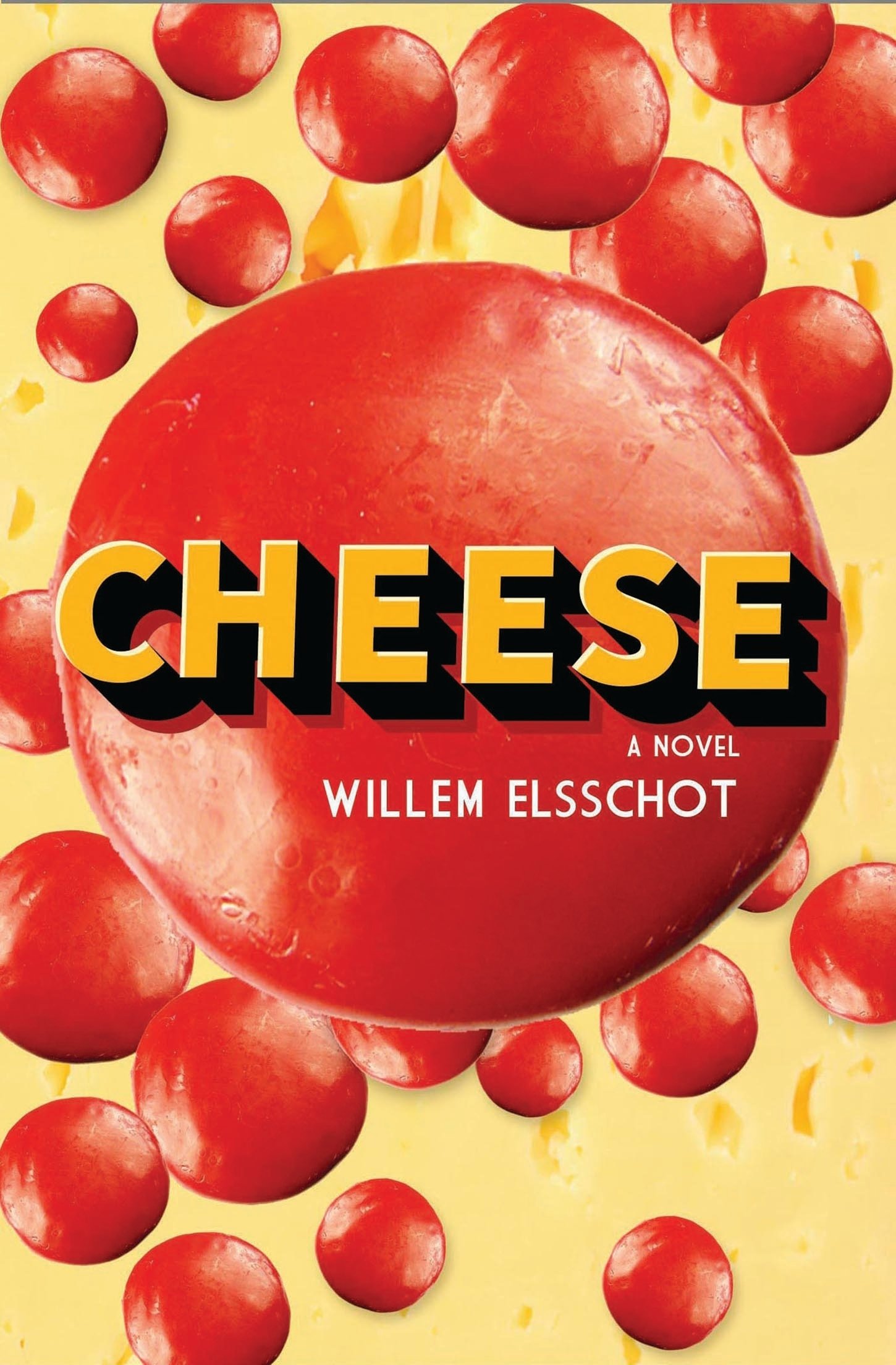 Premium Cheese Selection - Artisan & Gourmet Cheeses for Charcuterie Boards, Wine Pairing & Gifts | Newly Translated & Annotated Guide
