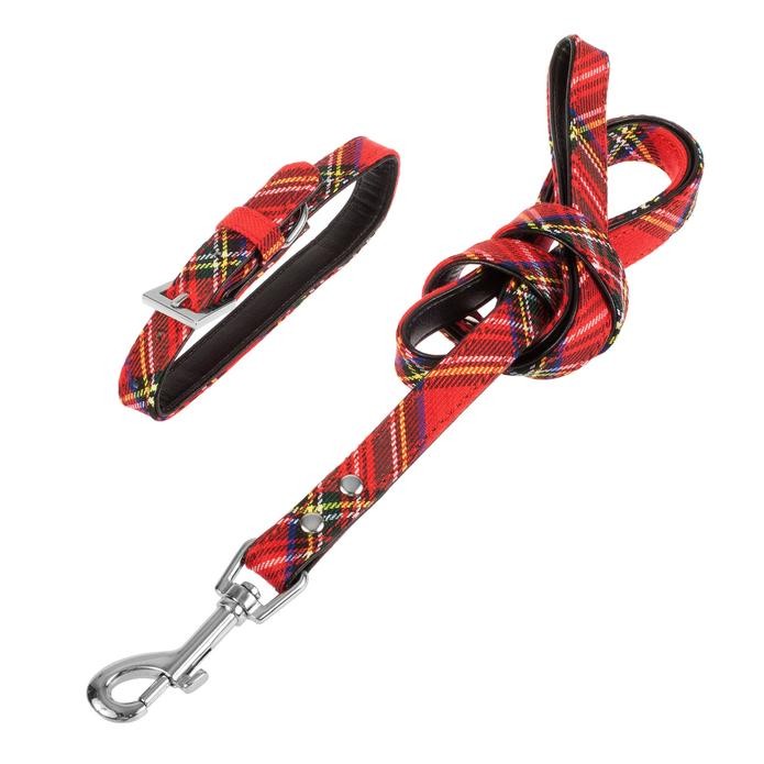 Royal Stewart Tartan Dog Collar & Leash Set - Premium Plaid Adjustable Pet Collar with Matching Leash for Small Medium Large Dogs - Perfect for Walks, Training & Scottish-Themed Pet Fashion