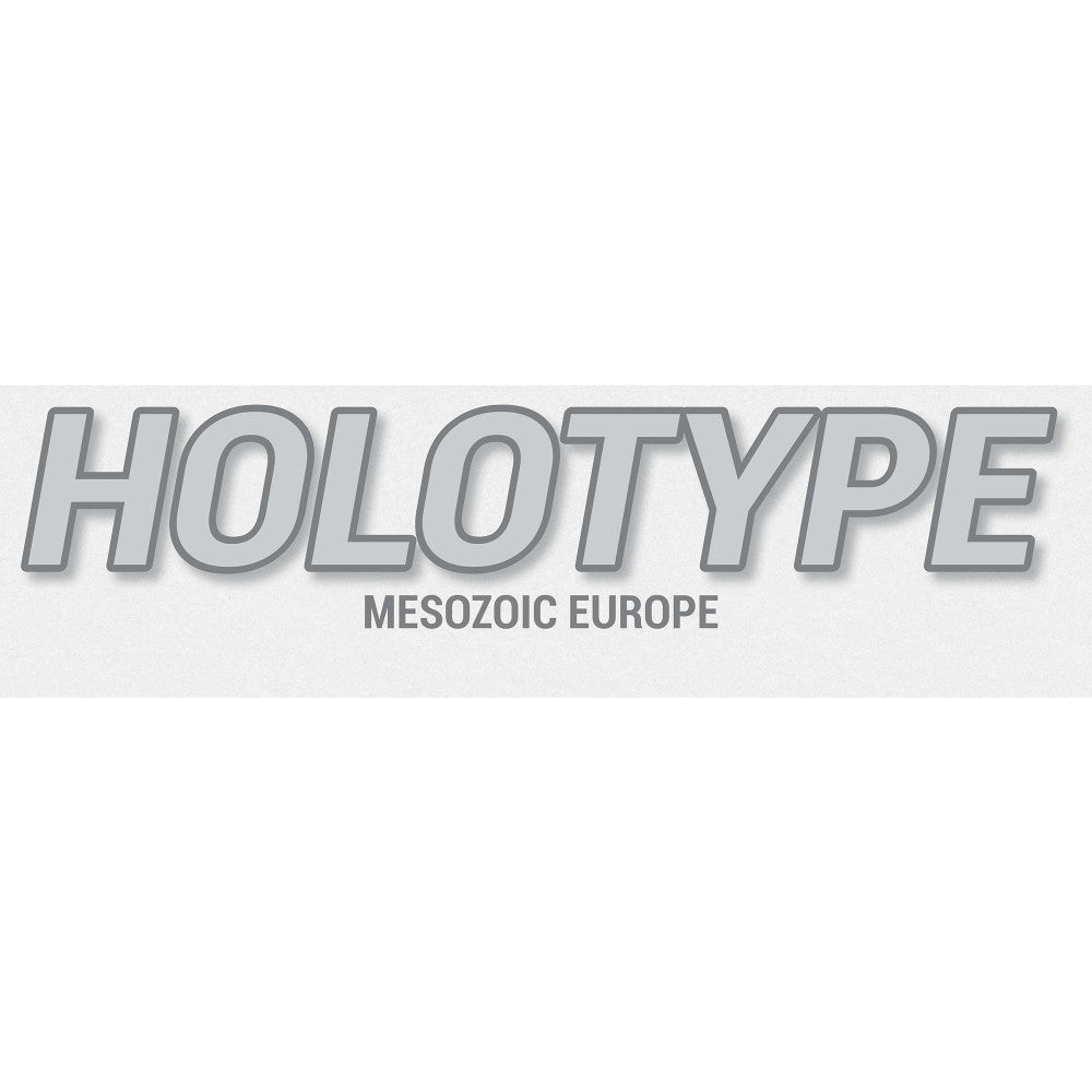 Brexwerx Games: Holotype Mesozoic Europe Expansion - Paleontology Strategy Board Game for Adults & Teens - Perfect for Family Game Nights & Educational Fun