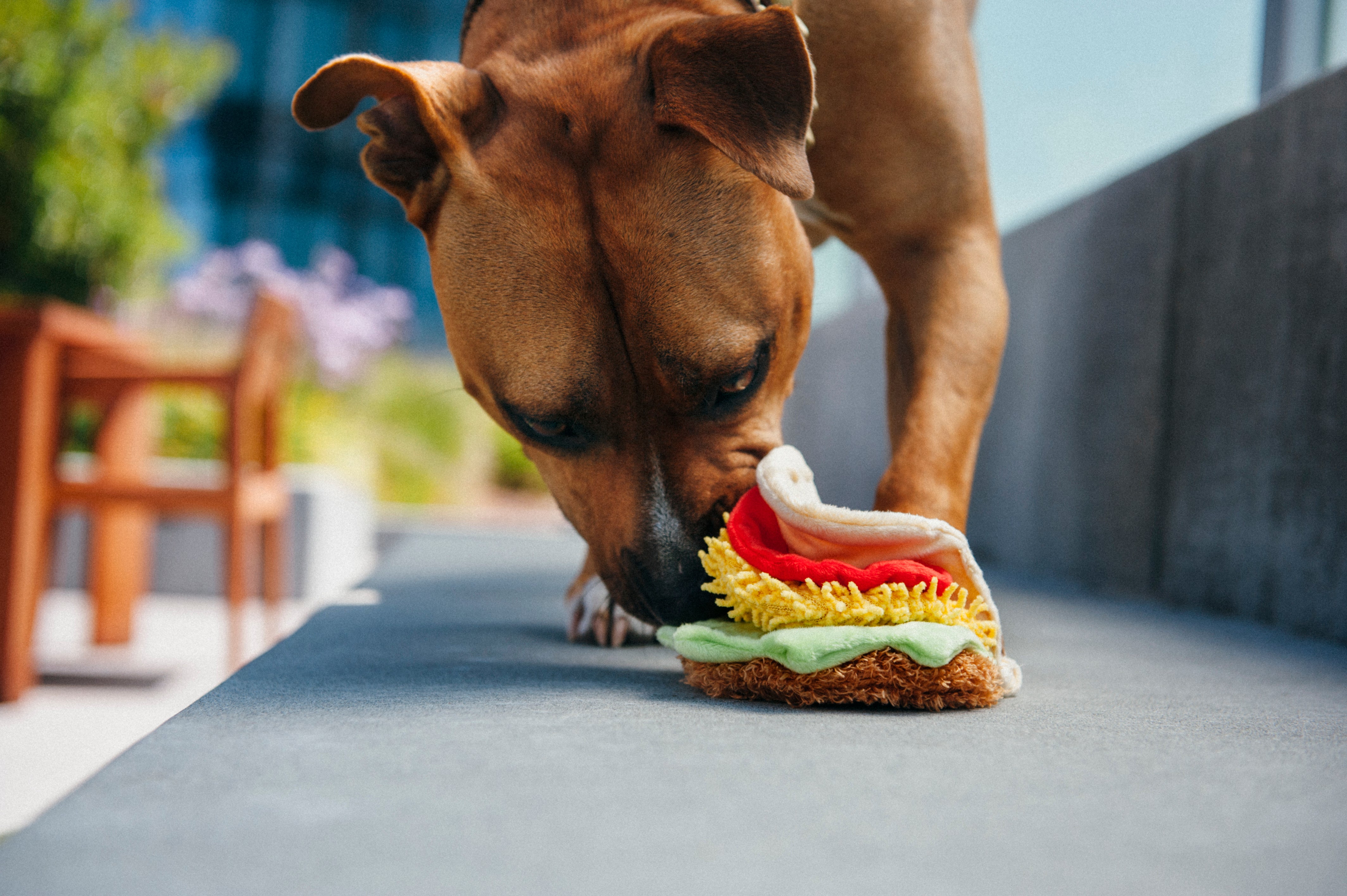 El Taco Dog Plush Toy - International Classic™ Chew-Resistant Squeaky Stuffed Animal for Pets | Perfect for Playtime, Training & Cuddling | Pet P.L.A.Y.