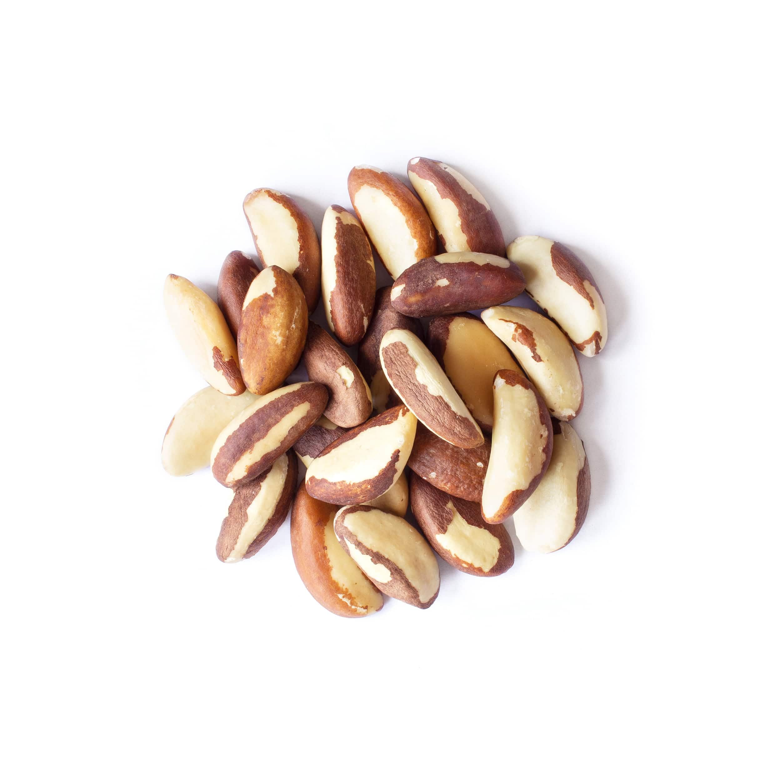 Organic Brazil Nuts 12 Pounds - Raw, Whole, No Shell, Non-GMO, Unsalted, Kosher, Vegan, Keto & Paleo Friendly - Bulk Snacks, Trail Mix Ingredient - Rich in Selenium - Perfect for Healthy Snacking, Baking & Energy Boosting