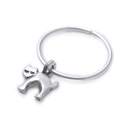 silver cat