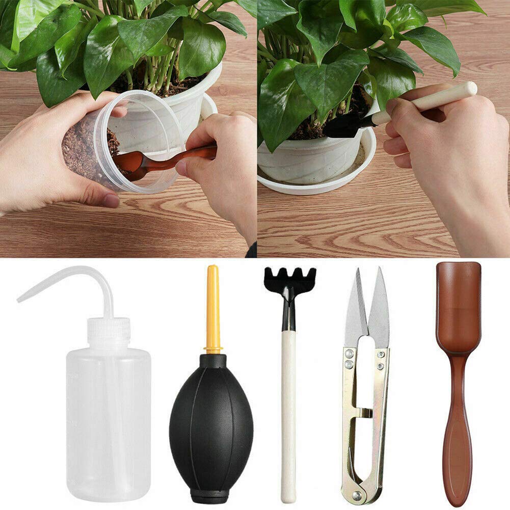 13-Piece Mini Garden Tool Set - Hand Pruner, Planting Shovel & Gardening Tools for Succulents | Perfect for Indoor Plants, Small Gardens & DIY Home Gardening Projects