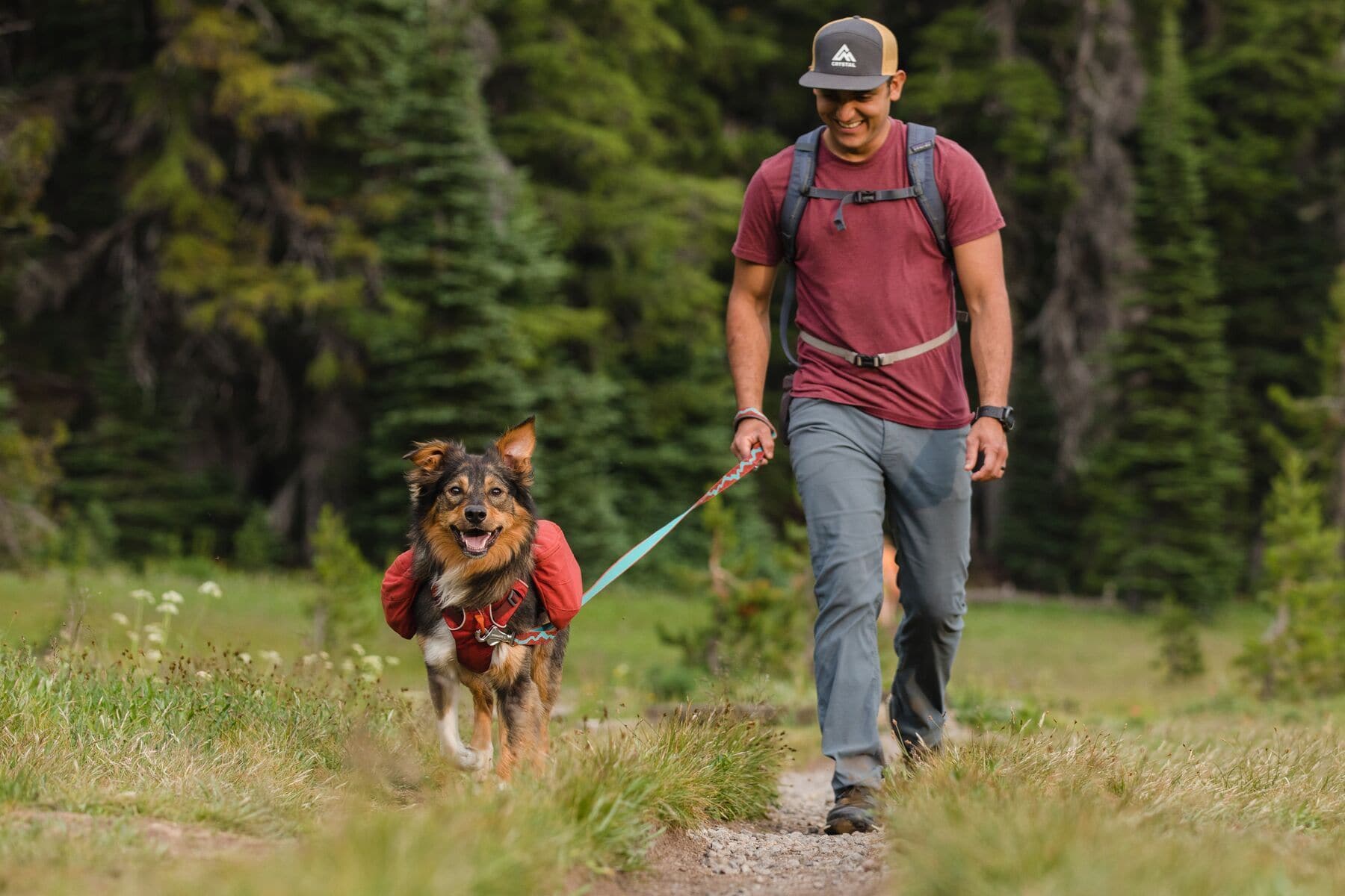 Ruffwear Front Range Dog Backpack - Lightweight & Adjustable Day Pack for Hiking & Outdoor Adventures - Lunar Blue (Mochila/Alforja para Perros) - Perfect for Camping, Trail Walks & Pet Travel Accessories