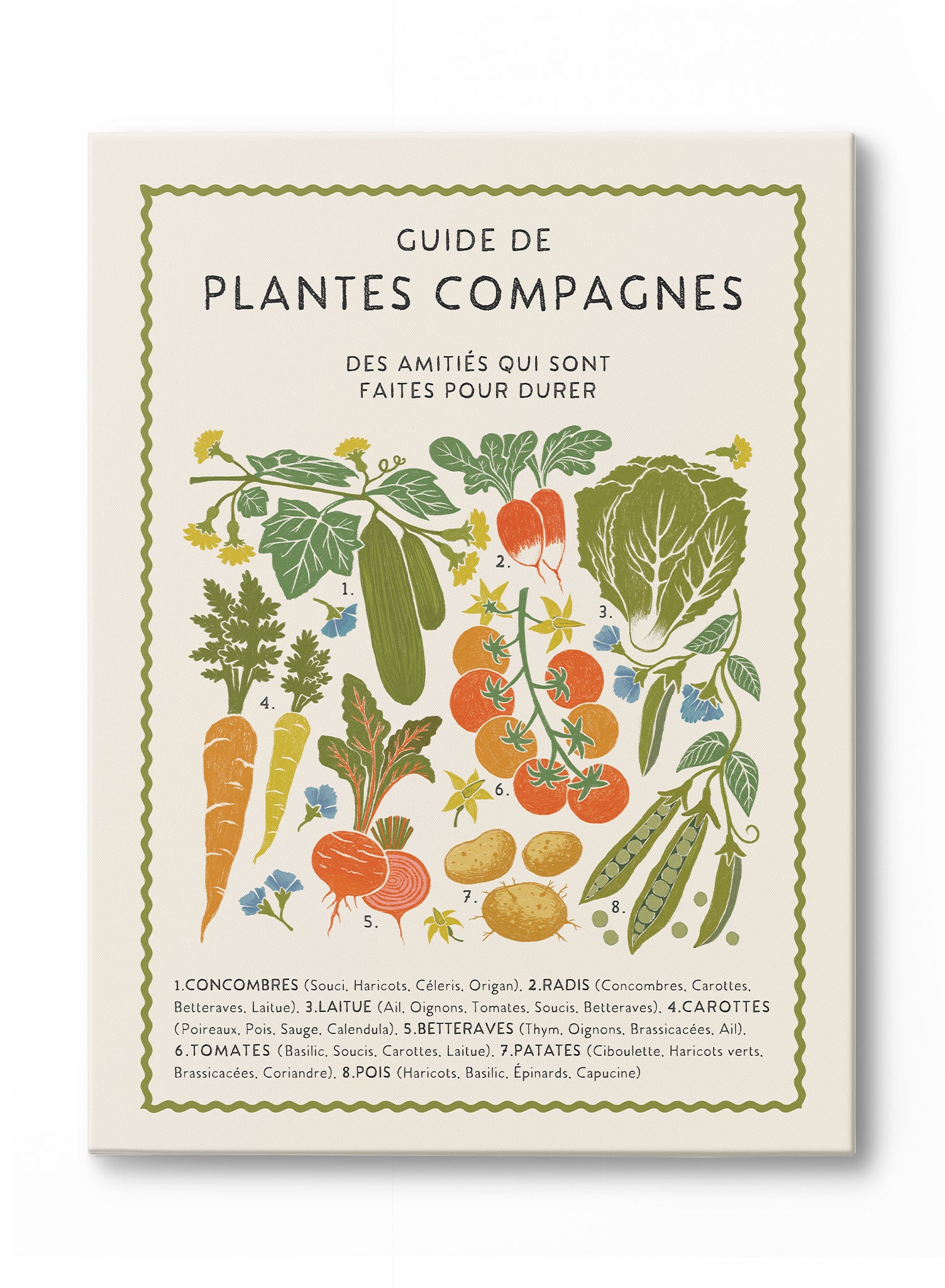 Purposeful Planting Guide Poster - Gardening Tips & Plant Care Chart for Home Gardeners - Perfect for Indoor & Outdoor Planting Projects