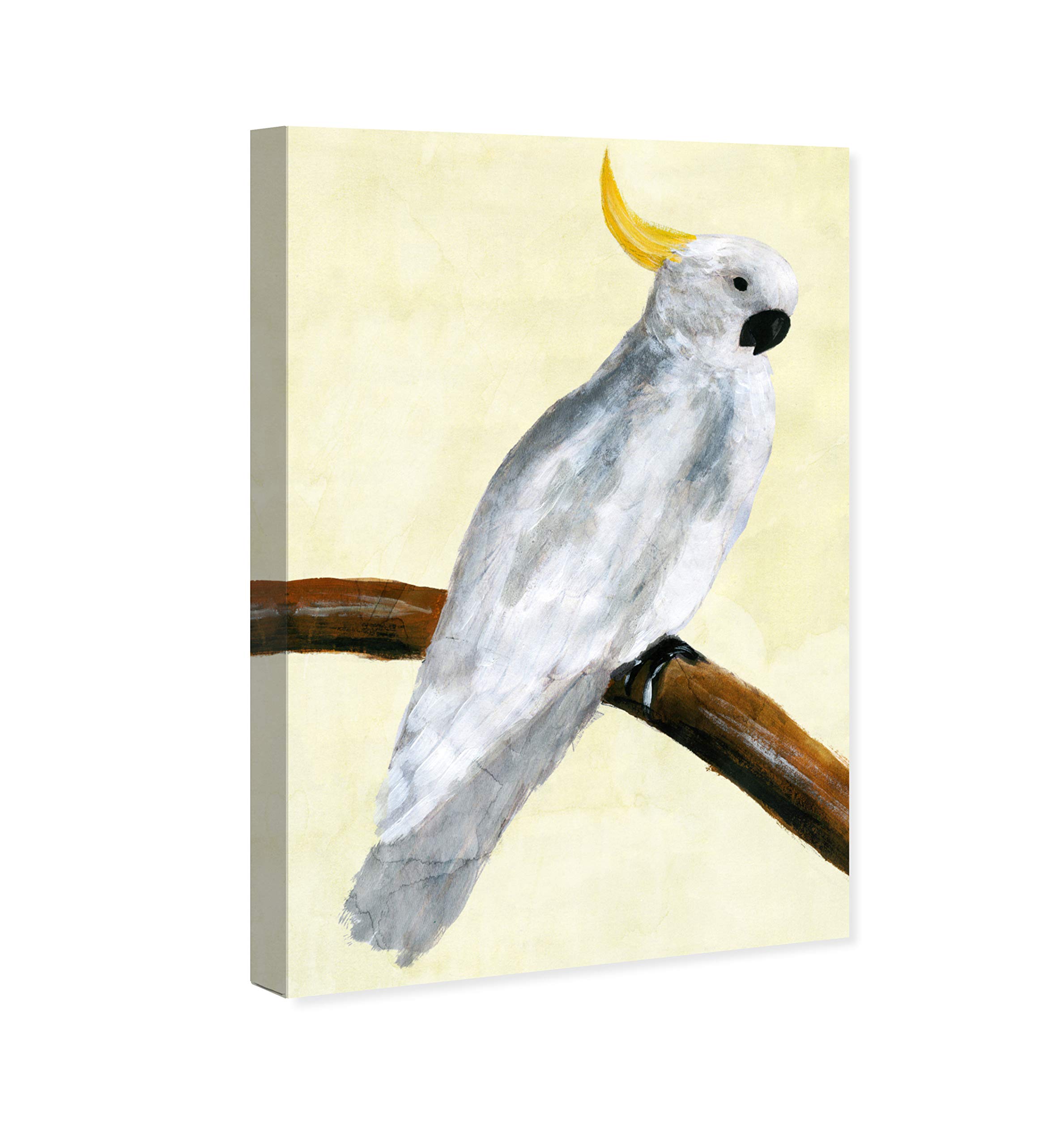 Elegant Cockatoo Wall Art Canvas Print - 20
