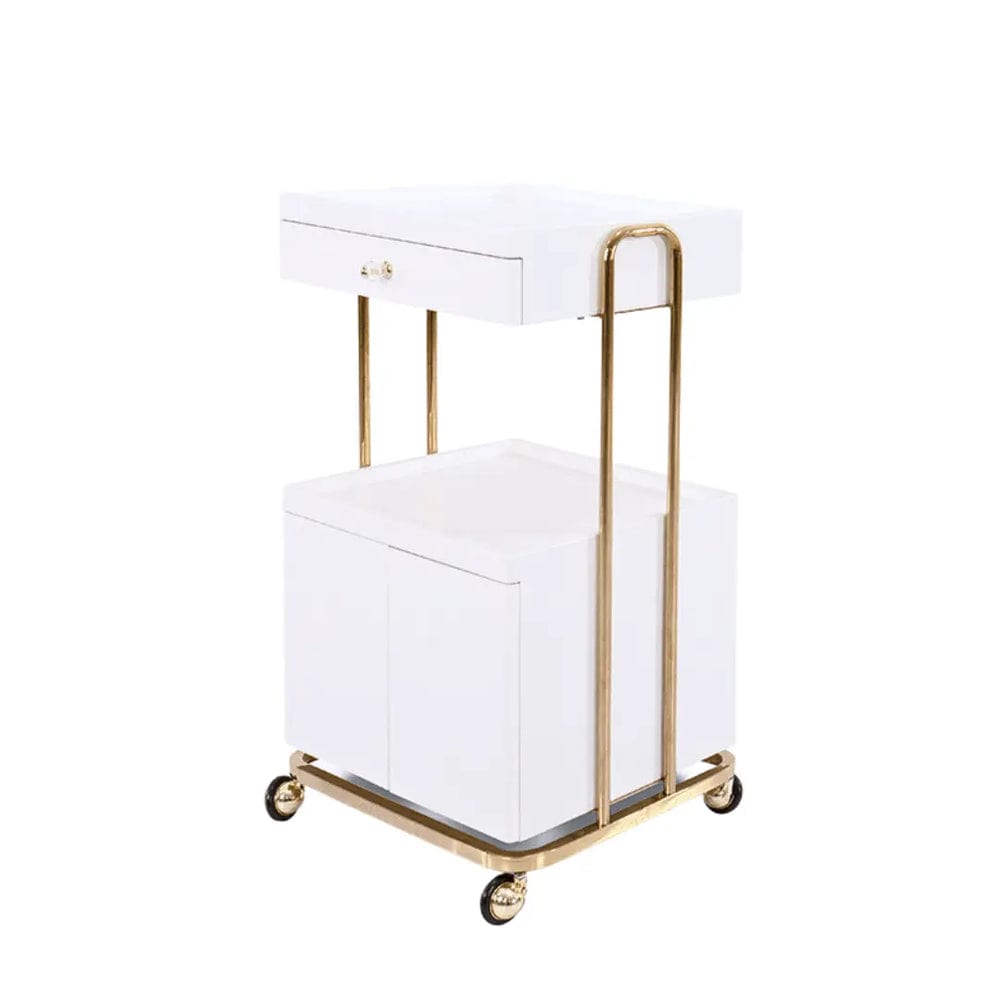 Professional Beauty Salon Rolling Trolley with Double Storage Drawers - Perfect for Hair Styling, Nail Art & Makeup Organization in Salons or Home Use