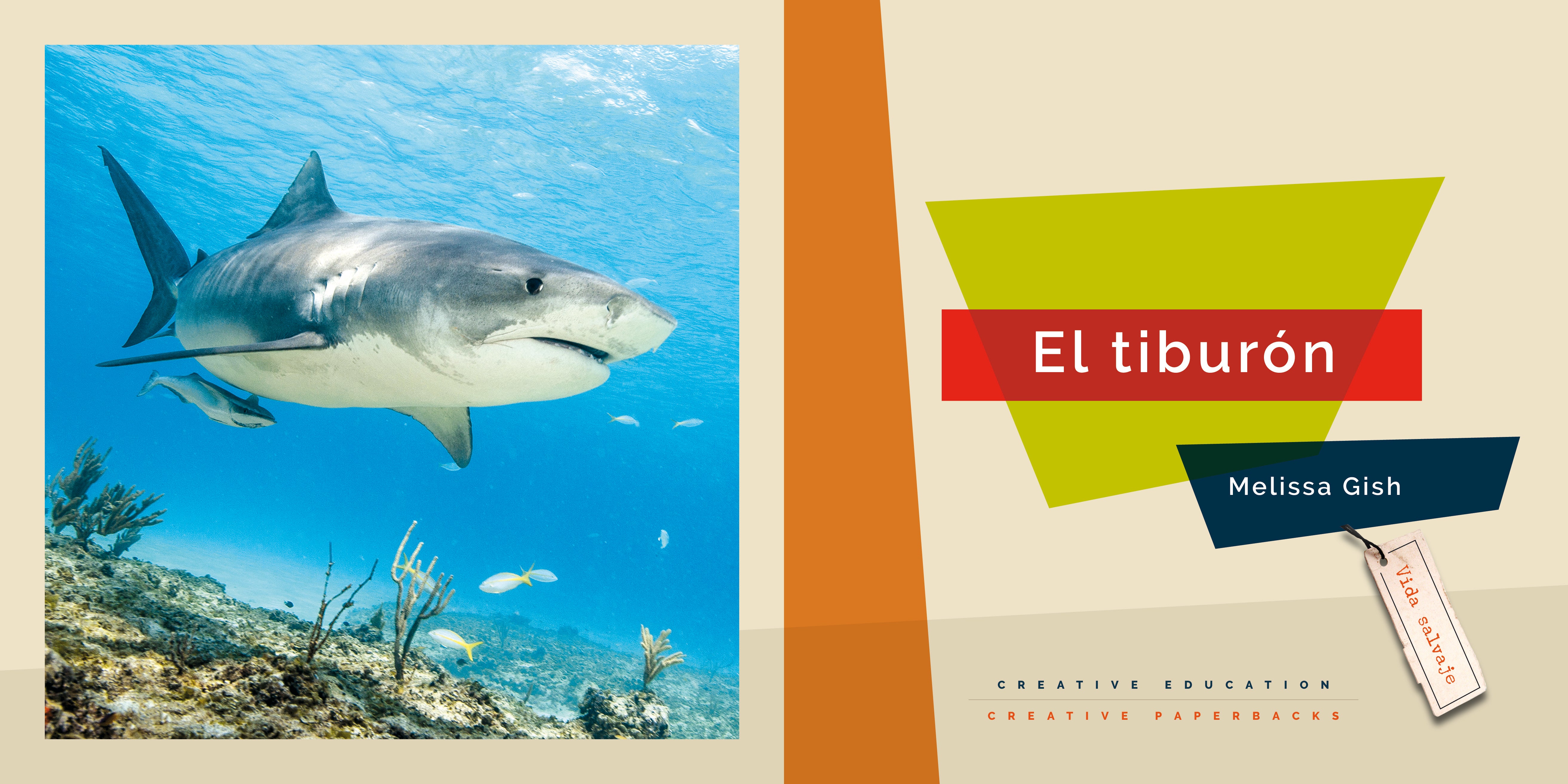 El Tiburón 9781640267503 - Spanish Children's Book About Sharks for Kids | Perfect for Bedtime Stories & Classroom Learning